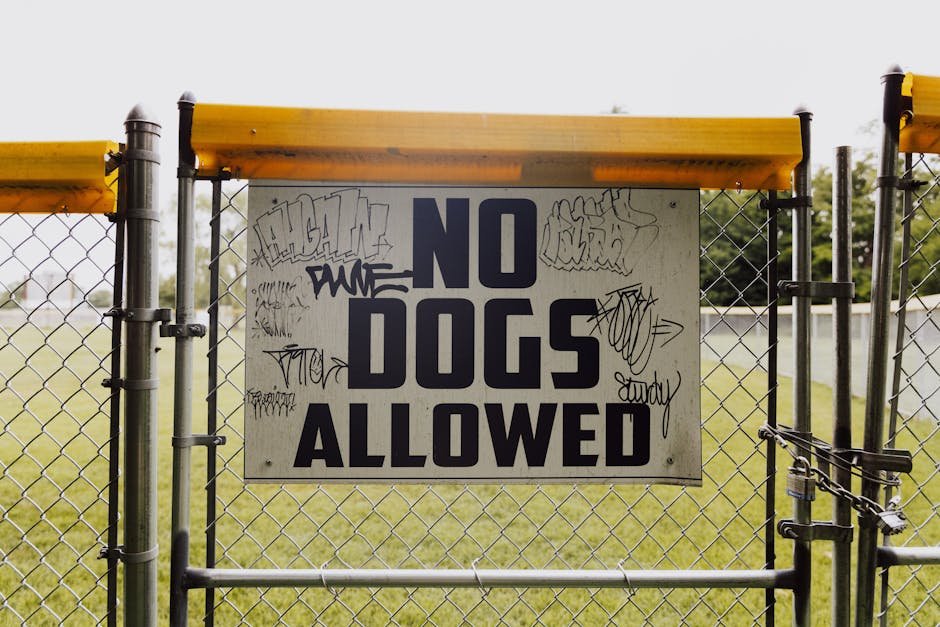 Disclaimer
