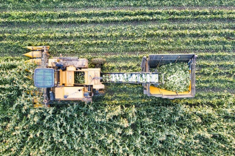 How to Master AI companies want to harvest improv actors’ skills to train AI on human emotion in 2026 [Full Guide]