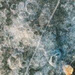 what ice actually 1776384848